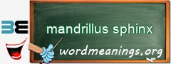 WordMeaning blackboard for mandrillus sphinx